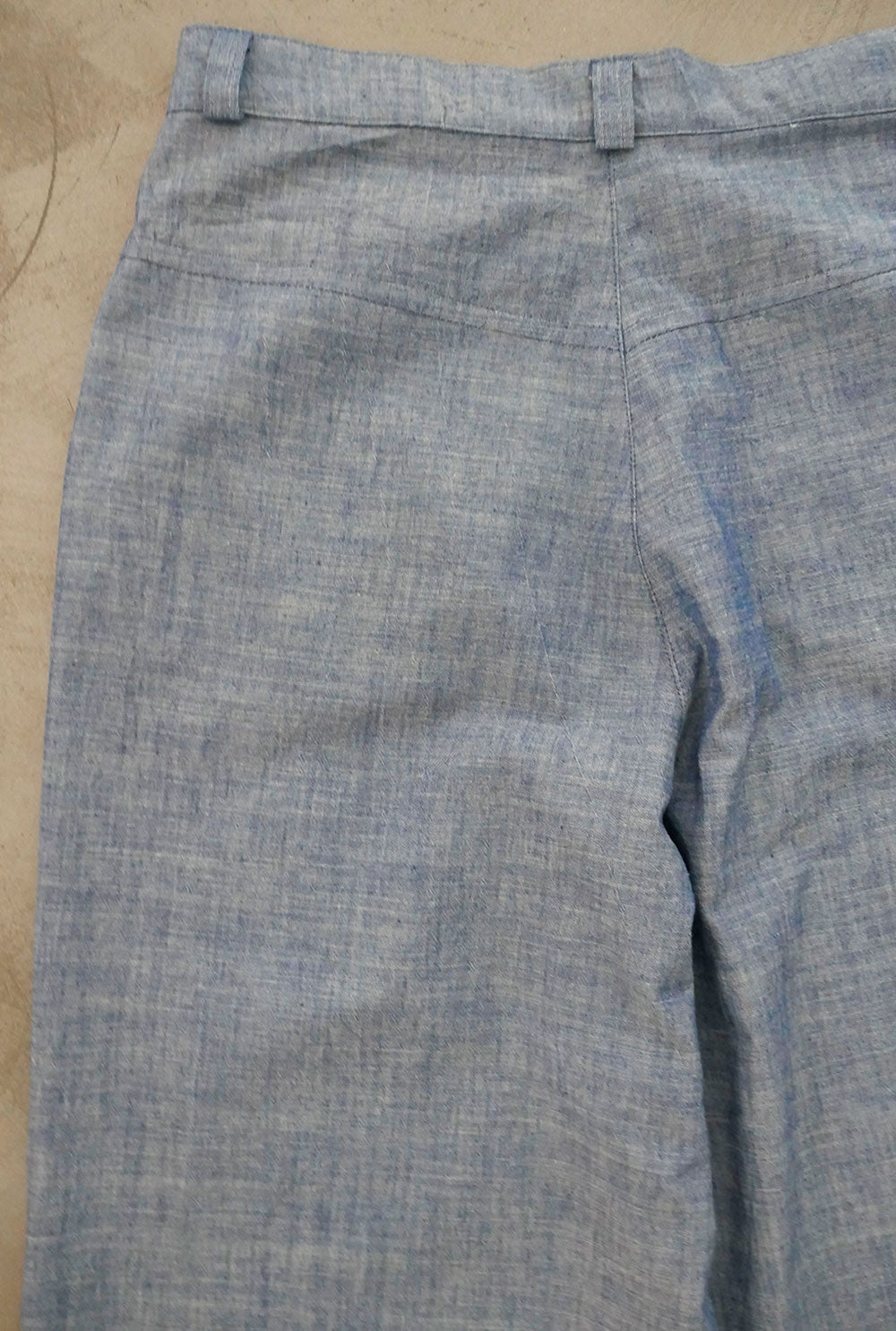 panta 113